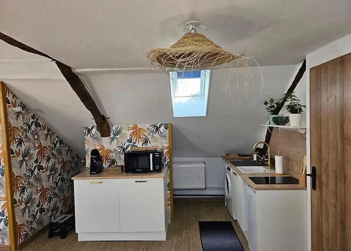 Reve De Loire Appartamento La Dagueniere