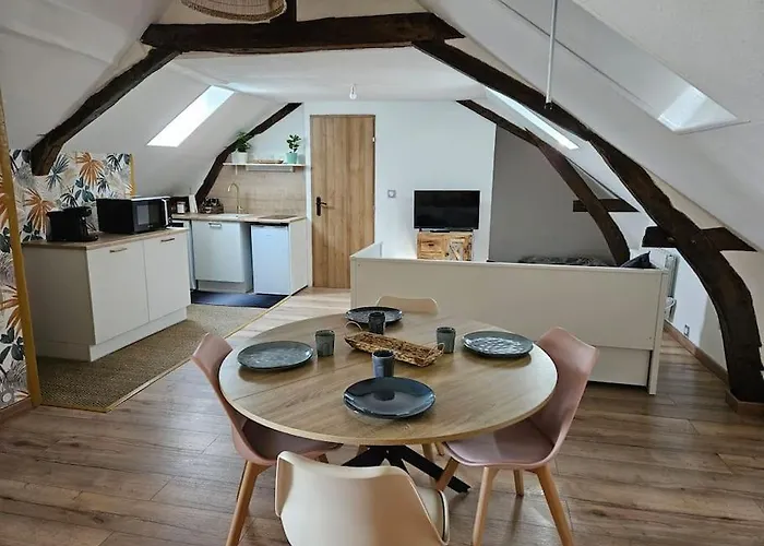 Appartamento Reve De Loire *